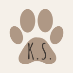 KEDİLERİN SESİ INSTAGRAM
