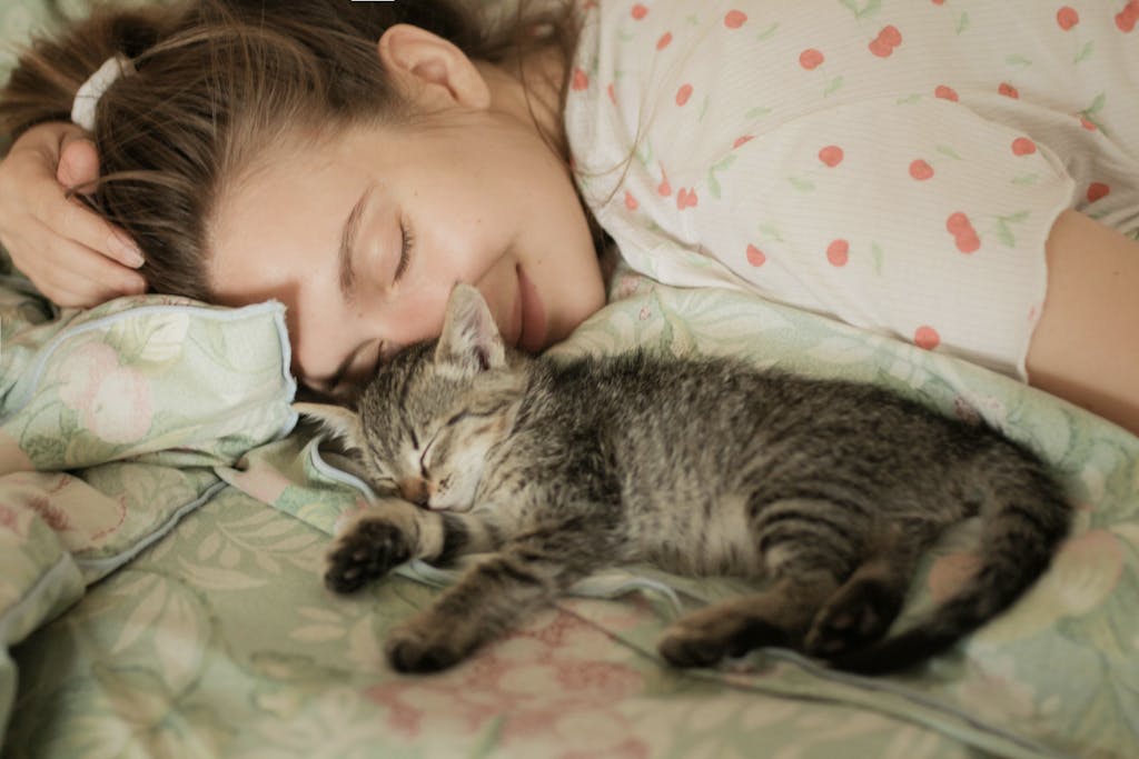 Yeni Kedi Sahiplendim